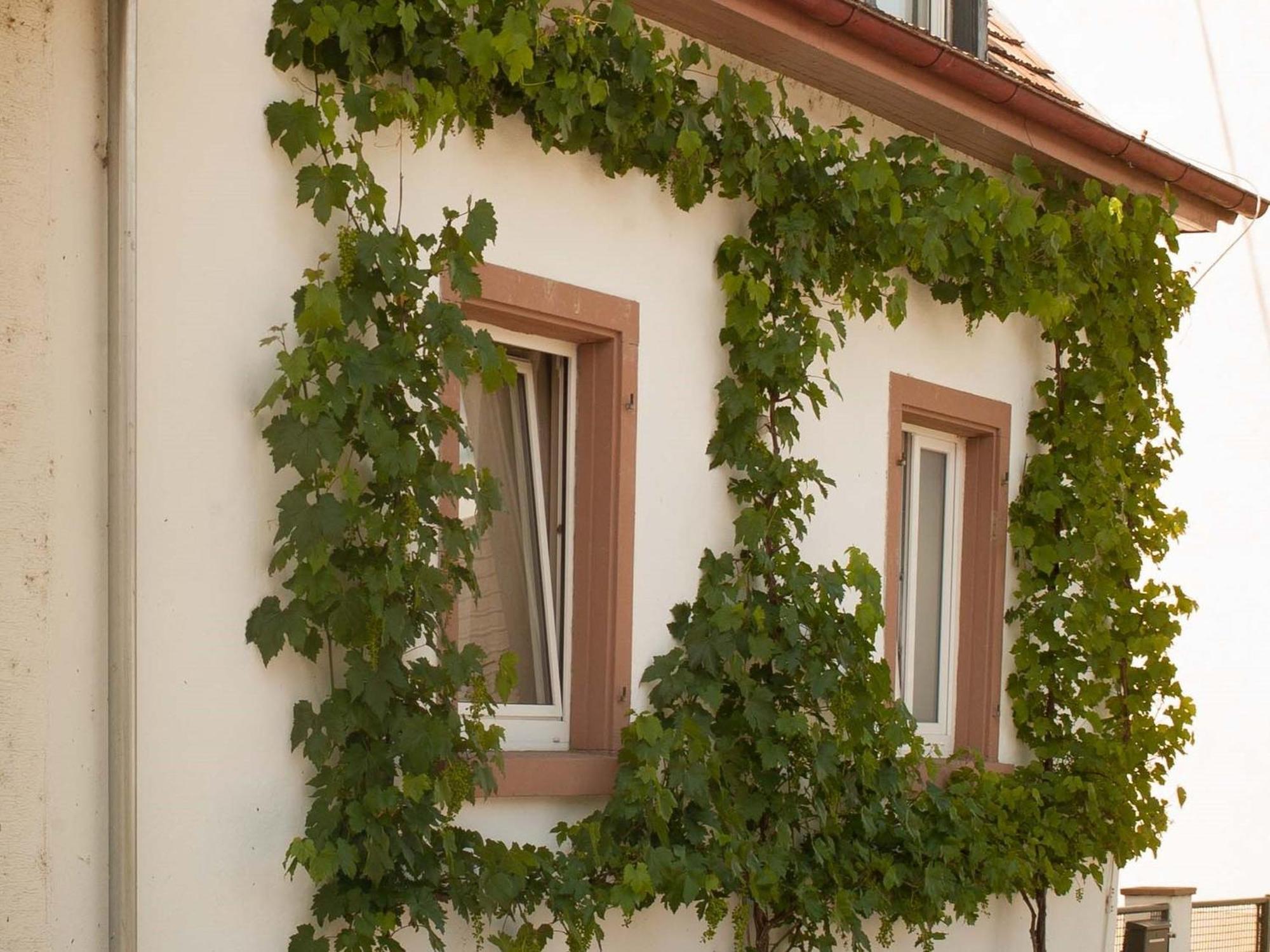Ferienhaus Am Kuenstleratelier Riegel Exterior photo